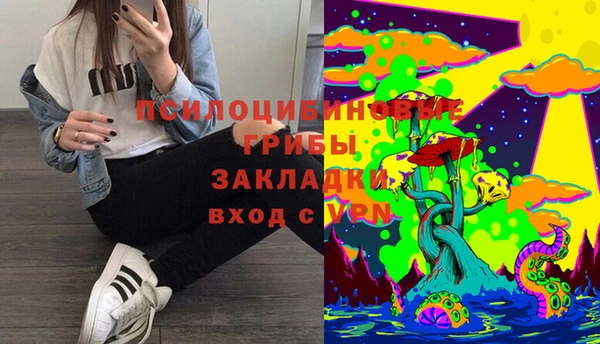 эйфоретик Дмитровск