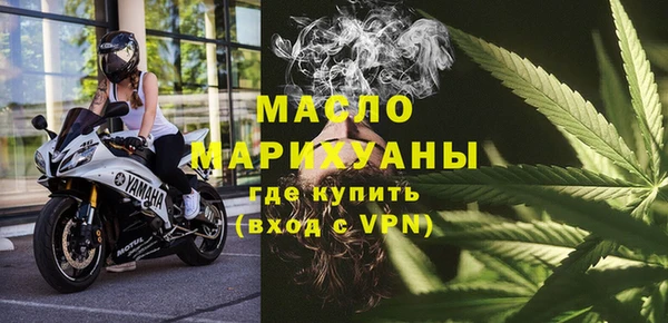 шишки Дмитриев