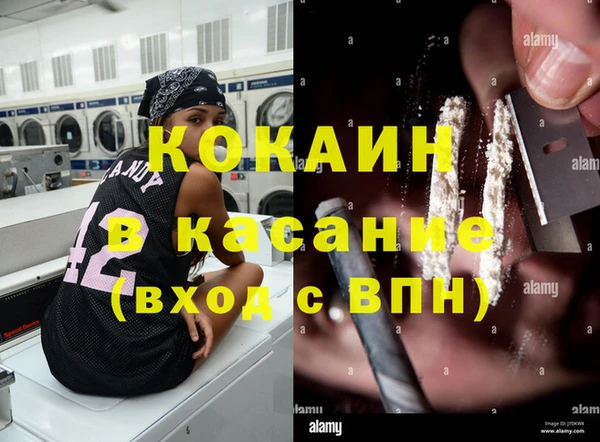 шишки Дмитриев