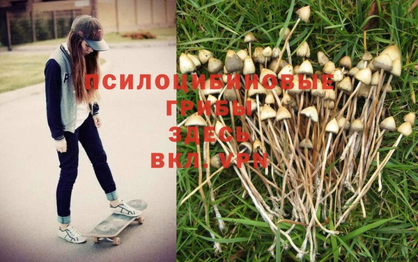 mdpv Дмитров