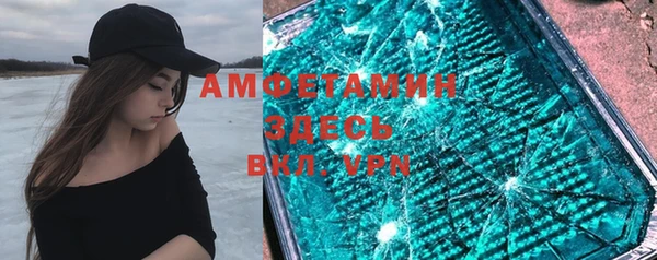 шишки Дмитриев
