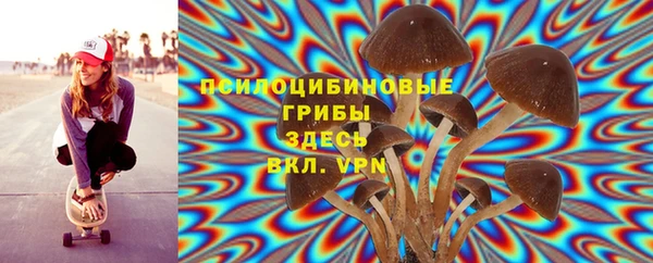 mdpv Дмитров
