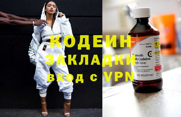 шишки Дмитриев
