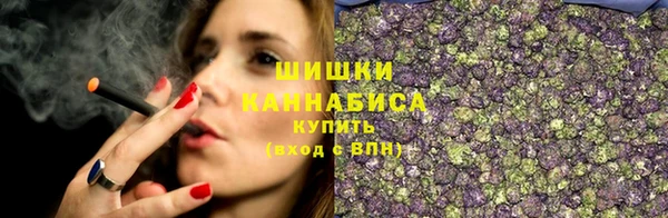 гашик Михайловск