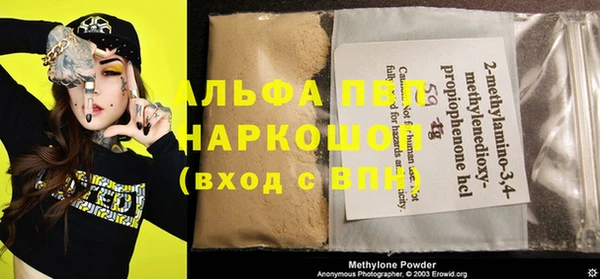 гашик Михайловск