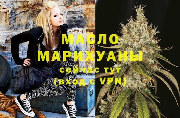 шишки Дмитриев