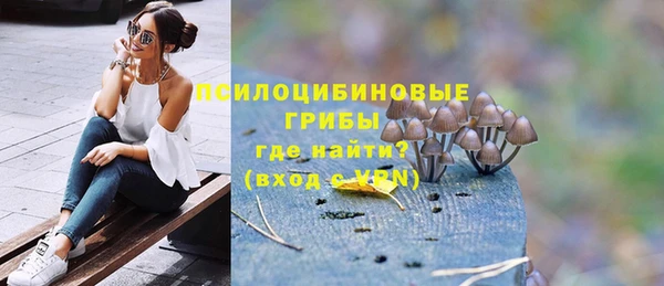 шишки Дмитриев