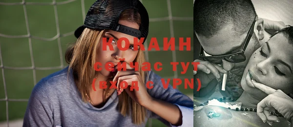 ешки Болотное