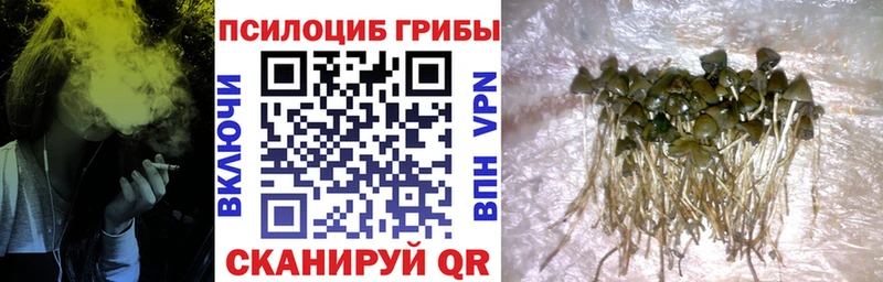 Галлюциногенные грибы Magic Shrooms  Жиздра 